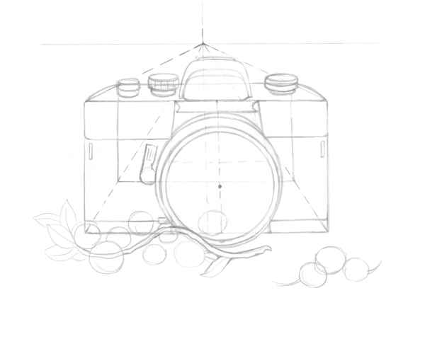 Drawing the twig shape